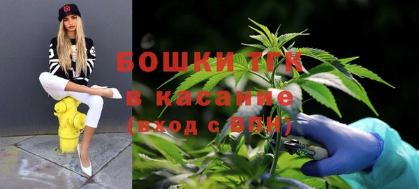 гидропоника Гусев