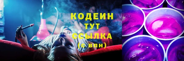 хмурый Снежинск