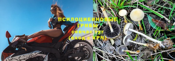герыч Бородино