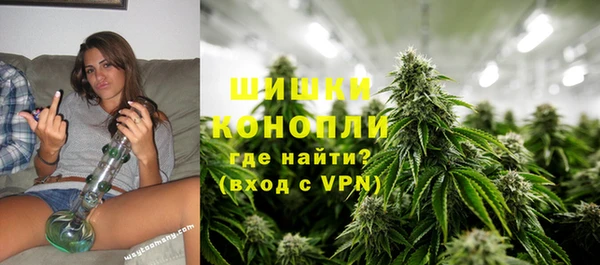 гидропоника Гусев