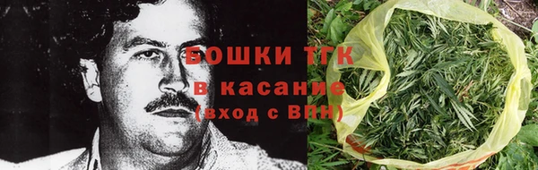 гидропоника Гусев