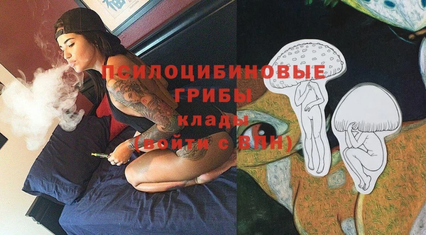 apvp Бугульма